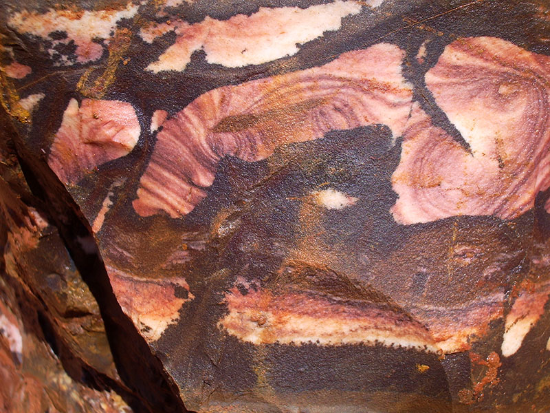 Testonite